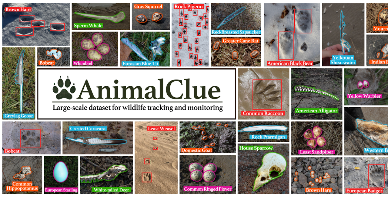 Risa Shinoda 篠田理沙 — AnimalClue teaser