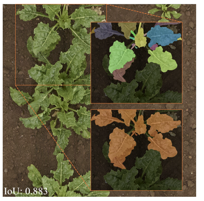 Risa Shinoda 篠田理沙 — Zero-shot Hierarchical Plant Segmentation teaser